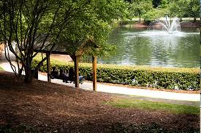 An image of a pond with walking path near Vinings GA 