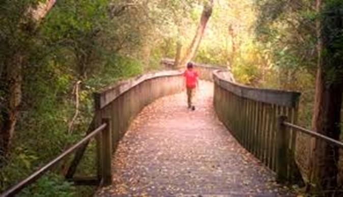 an image of a treelined walking trail in Mableton GA